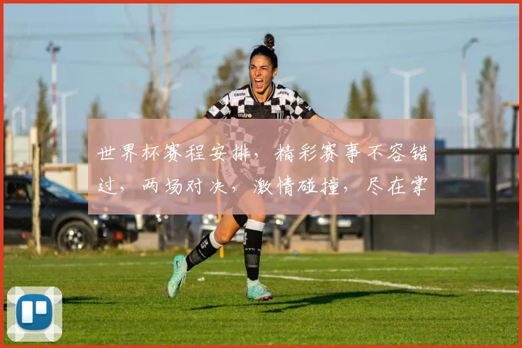 世界杯赛程安排，精彩赛事不容错过，两场对决，激情碰撞，尽在掌握